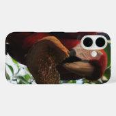 Scarlet Macaw Parrot Eating Toast Case-Mate iPhone Case (Achterkant (horizontaal))