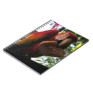 Scarlet Macaw Parrot Eating Toast Notitieboek