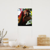 Scarlet Macaw Parrot Eating Toast Poster (Keuken)