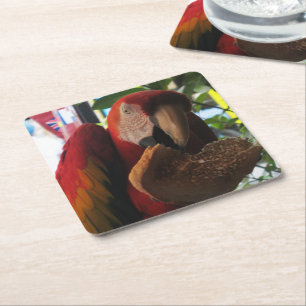 Scarlet Macaw Parrot Eating Toast Vierkante Kartonnen Onderzetter