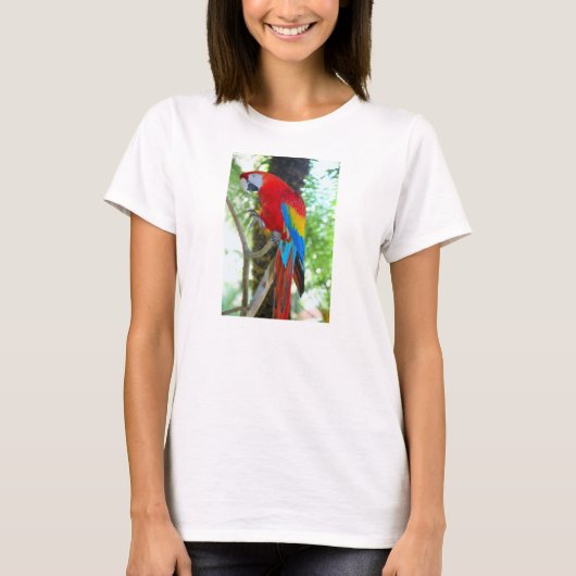 Scarlet Macaw, Parrot sur T-shirt Femme (Devant)