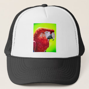 Scarlet macaw parrot trucker pet