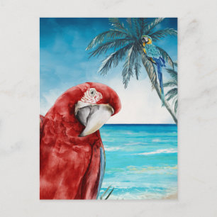 Scarlet Macaw Parrot Waterverf Tropisch Briefkaart
