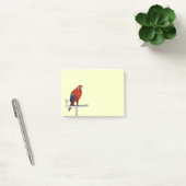 Scarlet Macaw Post-it® Notes (Kantoor)
