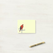 Scarlet Macaw Post-it® Notes (Op bureau)