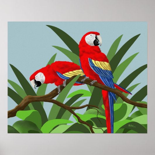 Scarlet Macaw Posters (Voorkant)
