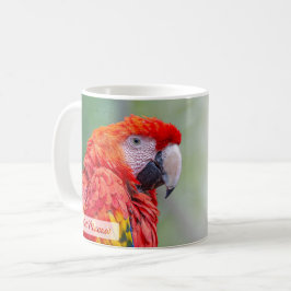 Scarlet Macaw Psalm 91:4 KJV Koffiemok