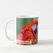 Scarlet Macaw Psalm 91:4 KJV Koffiemok (Links)