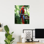 Scarlet macaw, rode ara fotografie poster (Thuiskantoor)