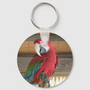 Scarlet Macaw Sleutelhanger