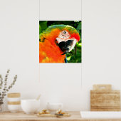 Scarlet Macaw Square Print (Keuken)
