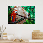 Scarlet Macaw White Parrot Amazon Oerwoud Poster (Keuken)