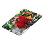Scarlet Macaws Magnet Magneet (Linkerzijde)