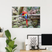 Scarlet Macaws Poster (Thuiskantoor)