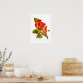 Scarlet Mallow (Hibiscus) Poster (Keuken)