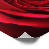 Scarlet Matte Poster (Hoek)