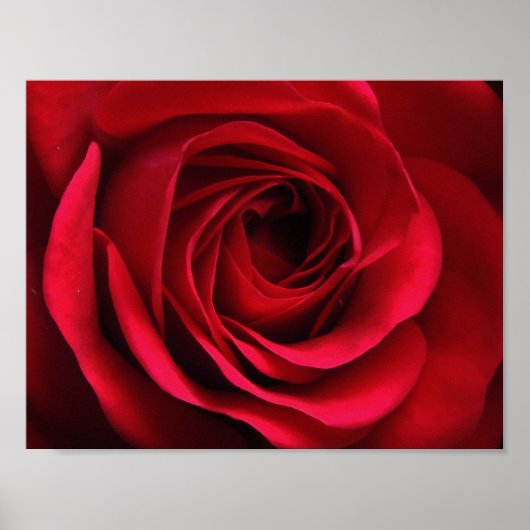 Scarlet Matte Poster (Voorkant)