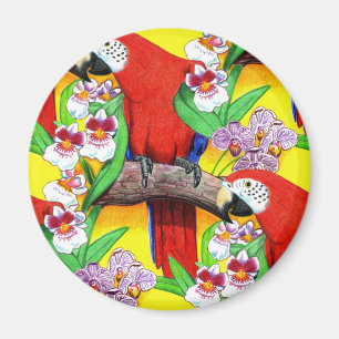 Scarlet McCaw Magneet