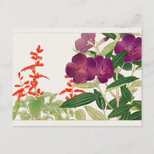 Scarlet, Melastoma van Tanigami Konan Briefkaart