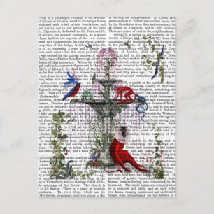 Scarlet Monkey 2 Briefkaart