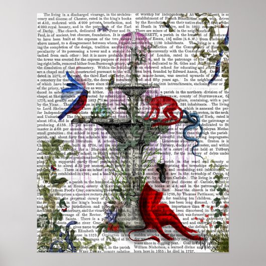 Scarlet Monkey Poster (Voorkant)