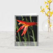 Scarlet Penstemon - Native Notecard Kaart (Gele Bloem)