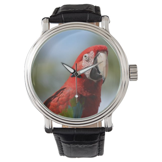 Scarlet Red Macaw Horloge (Voorkant)