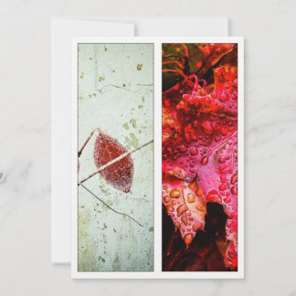 Scarlet Red Natuur Art Bladwijzer