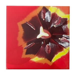 Scarlet Red Tulip keramische Tegel Tegeltje