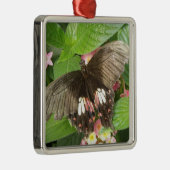 Scarlet Swallowtail Butterfly Macro Ornament (Rechts)