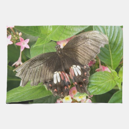 Scarlet Swallowtail Butterfly Macro Serviette de c (Horizontal)