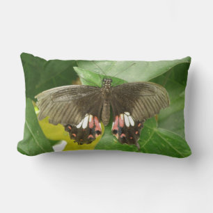 Scarlet Swallowtail Butterfly Pillow Kussen