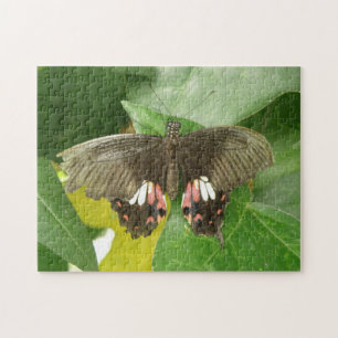 Scarlet Swallowtail Butterfly Puzzle Legpuzzel