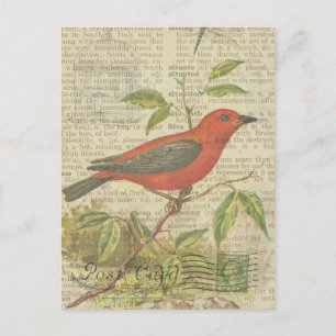 Scarlet Tanager  Bird Birdcage Dragonfly Briefkaart