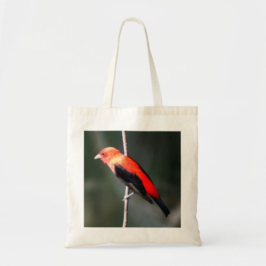 Scarlet Tanager Budget Canvas tas (Voorkant)
