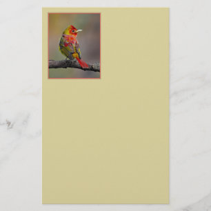 Scarlet Tanager Molting - Originele foto Briefpapier