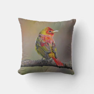 Scarlet Tanager Molting - Originele foto Buitenkussen
