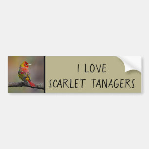 Scarlet Tanager Molting - Originele foto Bumpersticker