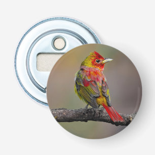 Scarlet Tanager Molting - Originele foto Button Flesopener