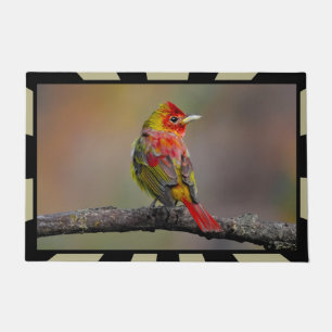 Scarlet Tanager Molting - Originele foto Deurmat