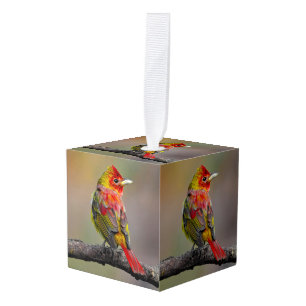 Scarlet Tanager Molting - Originele foto Kubus Ornament