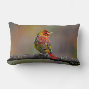 Scarlet Tanager Molting - Originele foto Kussen