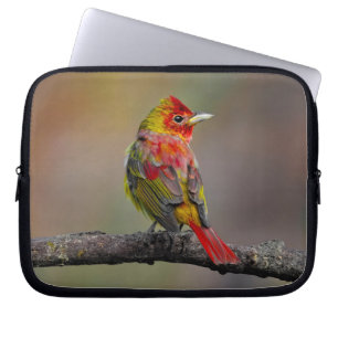 Scarlet Tanager Molting - Originele foto Laptop Sleeve