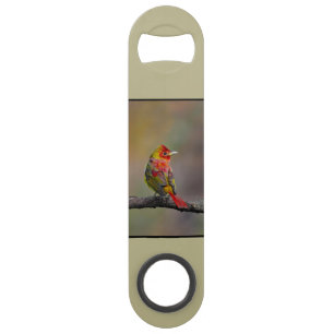 Scarlet Tanager Molting - Originele foto Speed Flessenopener