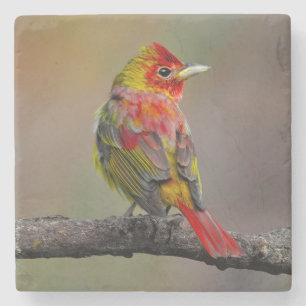 Scarlet Tanager Molting - Originele foto Stenen Onderzetter