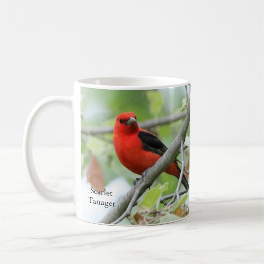 Scarlet Tanager Mug par Birding Collectibles (Gauche)