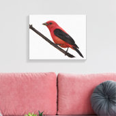 Scarlet Tanager op Branch Canvas Afdruk (Insitu (Woonkamer))