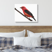 Scarlet Tanager op Branch Canvas Afdruk (Insitu (Slaapkamer))