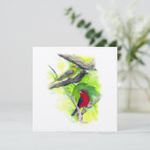 Scarlet Tanager Paar Kunst (Staand voorkant)