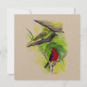 Scarlet Tanager Paar Kunst